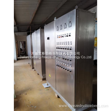 Batch Freeze Drying Plant